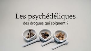 Les psychédéliques, des drogues qui soignent's poster