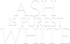 Ash Is Purest White's poster