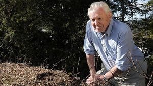 Attenborough and the Empire of the Ants's poster