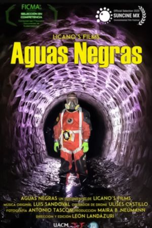 Aguas Negras's poster