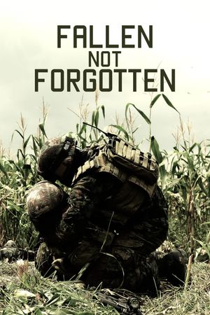 Fallen Not Forgotten's poster