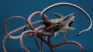 Sharktopus's poster