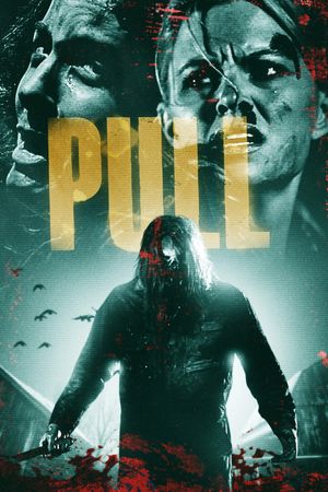 Pull's poster image