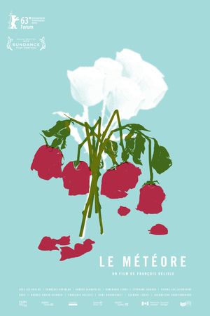 The Meteor's poster
