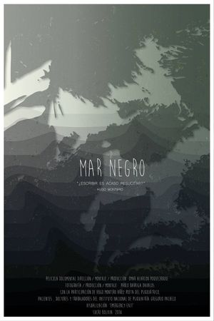 Black Sea's poster