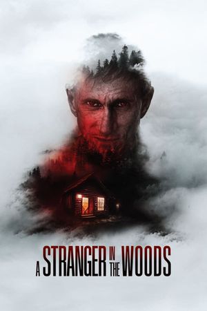 A Stranger in the Woods's poster