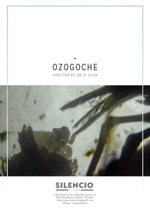 Ozogoche's poster