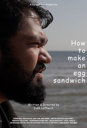 How To Make An Egg Sandwich's poster