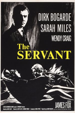 The Servant's poster