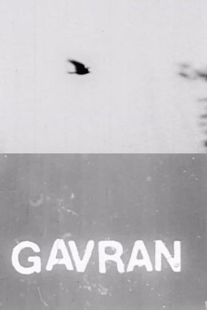 The Raven's poster