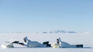 Journey to Greenland's poster