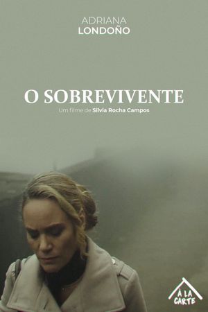 O Sobrevivente's poster image