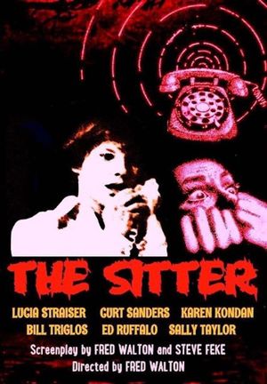The Sitter's poster