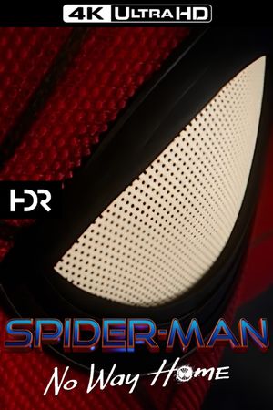 Spider-Man: No Way Home's poster