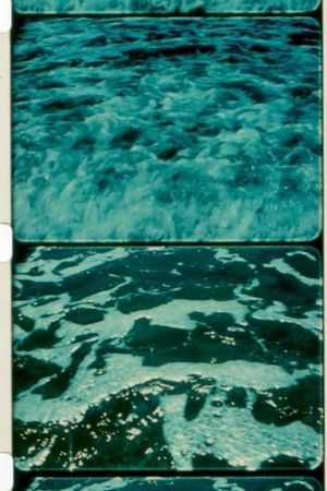 A Child's Garden and the Serious Sea's poster