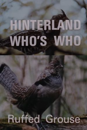 Hinterland Who's Who: Ruffed Grouse's poster