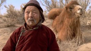 The Story of the Weeping Camel's poster