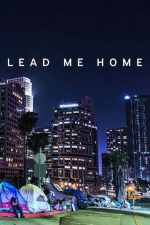 Lead Me Home's poster