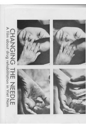 Changing the Needle's poster