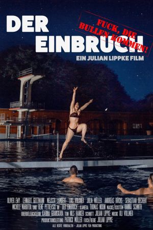 Der Einbruch's poster