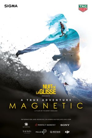 Magnetic's poster image