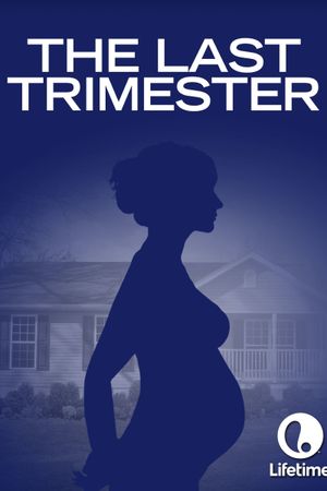 The Last Trimester's poster
