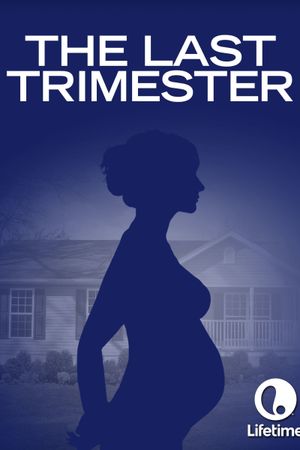 The Last Trimester's poster image