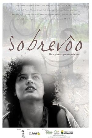 Sobrevôo's poster