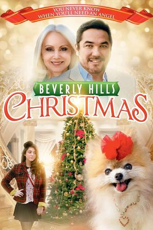 Beverly Hills Christmas's poster