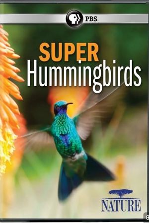 Super Hummingbirds's poster