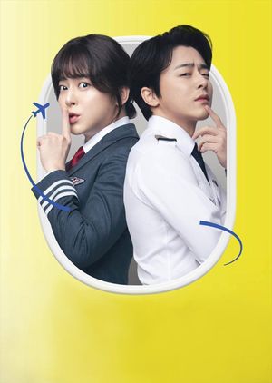Pilot's poster