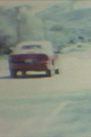 T.Z. USA 1991 - Going Fast Slow (V.4)'s poster