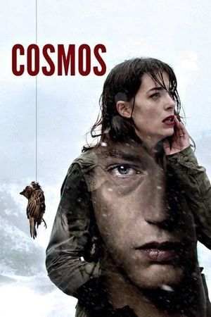 Cosmos's poster