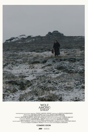 Wolf Among Sheep's poster