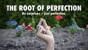 The Root of Perfection's poster