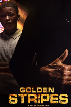 Golden Stripes's poster