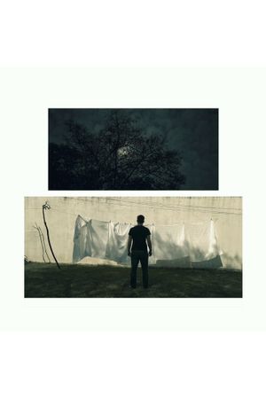 all frame's poster
