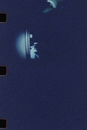 untitled (archive)'s poster
