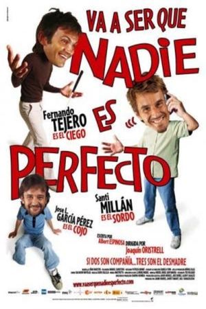 Nobody Is Perfect's poster image