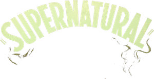 Supernatural's poster