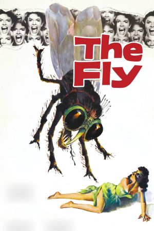 The Fly's poster