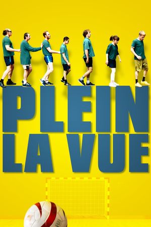 Plein la vue's poster
