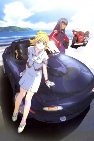 eX-Driver: Nina & Rei Danger Zone's poster