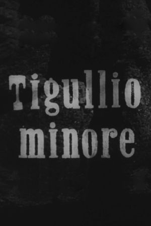 Tigullio minore's poster image