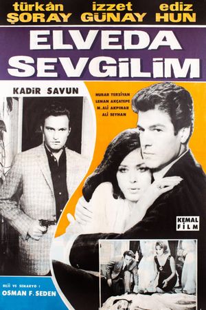 Good Bye, My Lover's poster