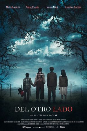 Del Otro Lado's poster