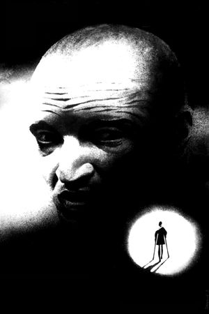 Stalker's poster