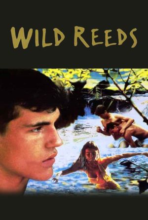 Wild Reeds's poster