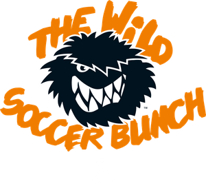 The Wild Soccer Bunch 6's poster
