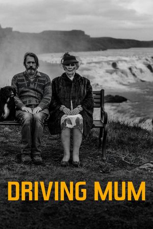 Driving Mum's poster